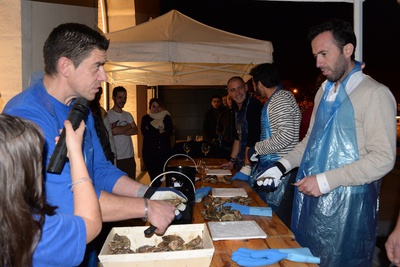 Mâcon : On ouvre les Halles... et les huîtres ! 