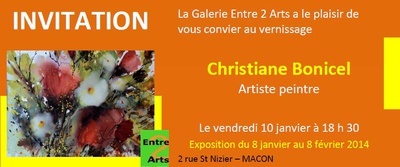 Mâcon : vernissage de l'artiste peintre Christian Bonicel