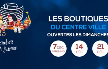 Mâcon : les boutiques du centre-ville fêtent Noël