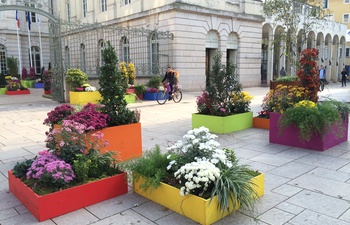 Mâcon : fleurs, couleurs et jardin éphémère place Saint-Pierre