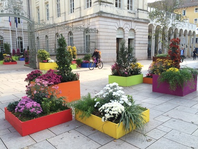 Mâcon : fleurs, couleurs et jardin éphémère place Saint-Pierre