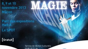 Macon Festival Magie 2013