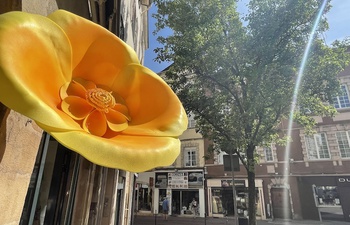 Un centre-ville en fleurs… géantes !